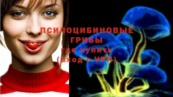 трава Нижневартовск