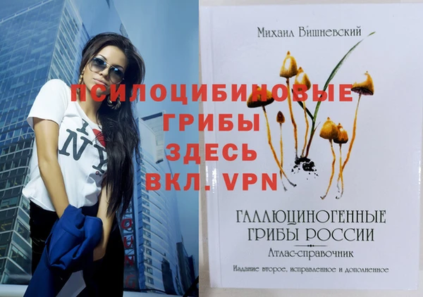 гидропоника Мегион
