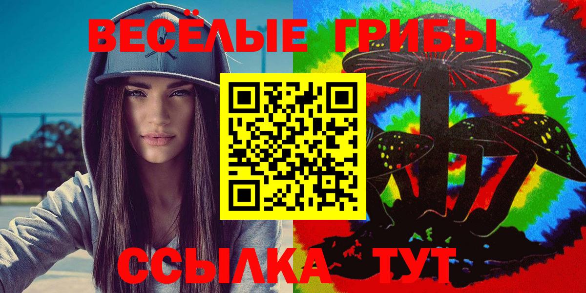 Галлюциногенные грибы прущие грибы Тамбов