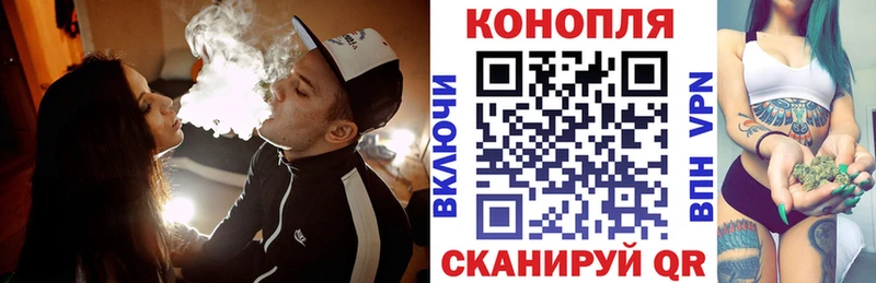 дарнет шоп Тамбов Канабис конопля